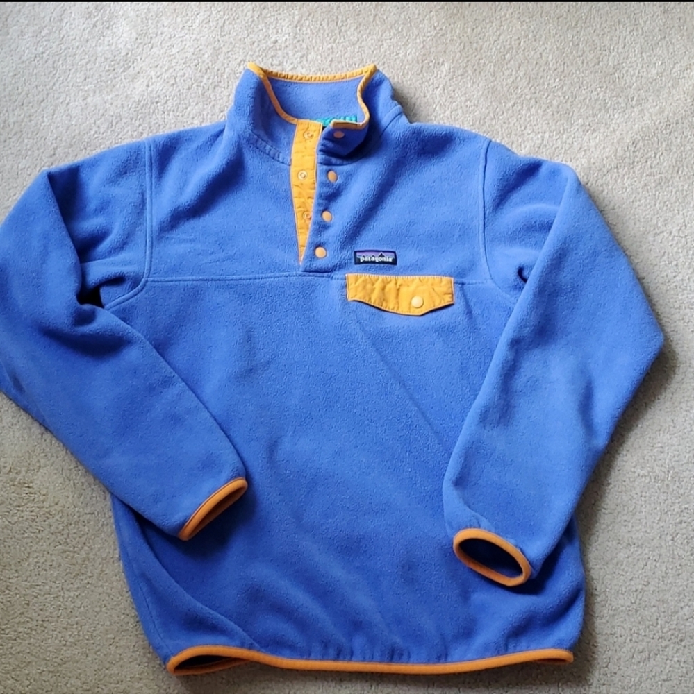 Patagonia Synchilla Pullover